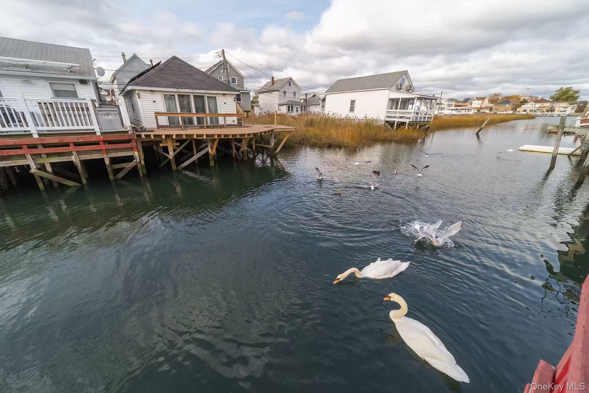 10 Church Street Queens, NY 11414 - Photo 15 of 19 Dock area featuring a deck with water view and a residential view