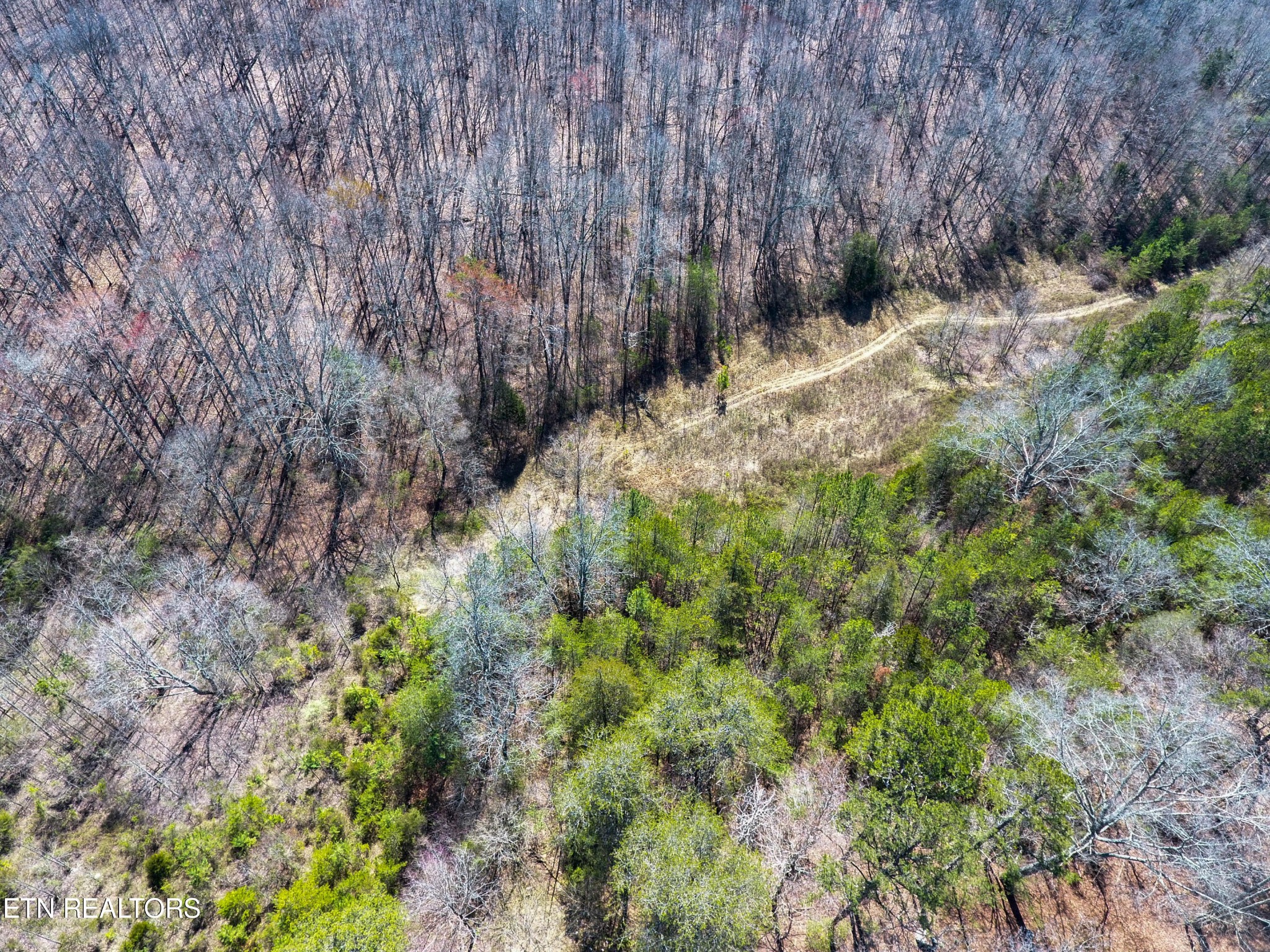 1 Mill Pond Hollow Road Maynardville, TN 37807 - Photo 8 of 14 Gallery Image 8