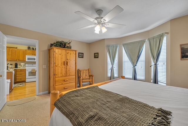 531 Tansi Trail Pigeon Forge, TN 37863 - Photo 14 of 23 bedroom 2