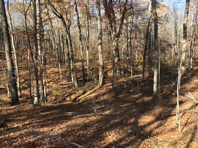 850 Hickory Point Road Clarksville, TN 37043 - Photo 1 of 9 a view of outdoor space