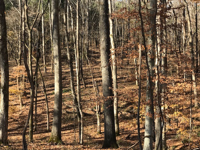 850 Hickory Point Road Clarksville, TN 37043 - Photo 4 of 9