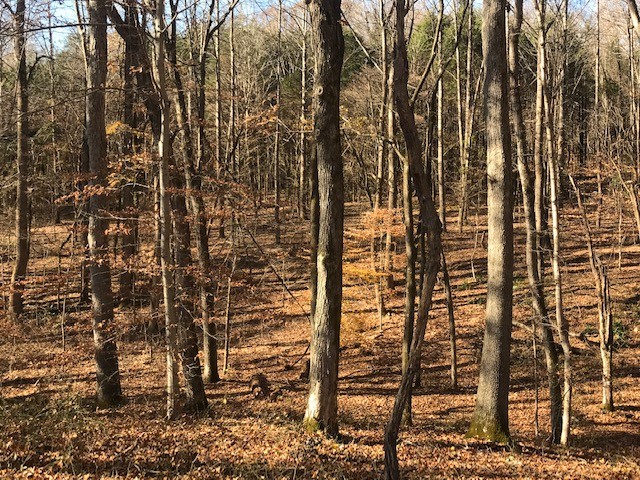 850 Hickory Point Road Clarksville, TN 37043 - Photo 8 of 9