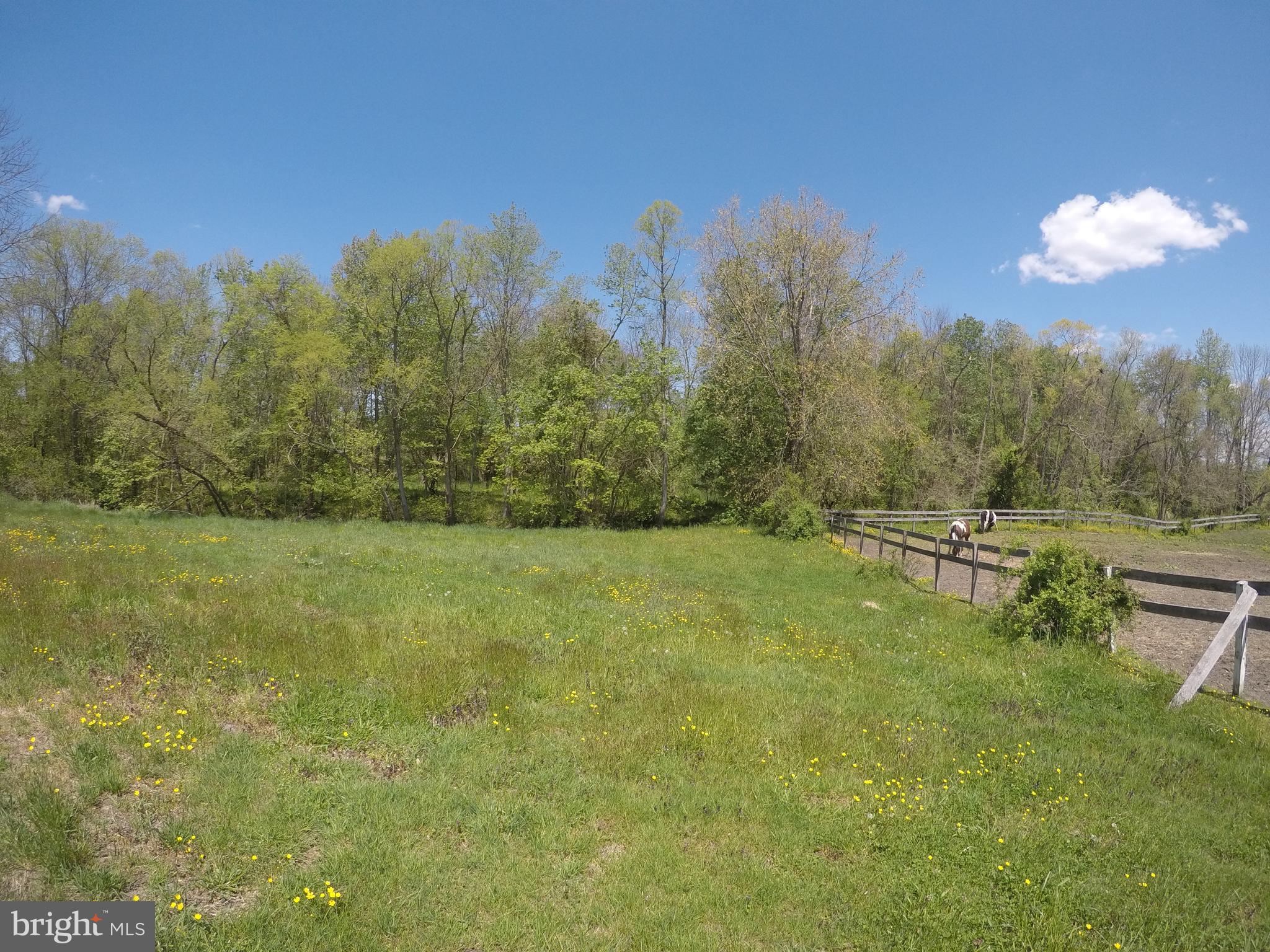 310 Chairville Road Southampton, NJ 08088 - Photo 11 of 23
