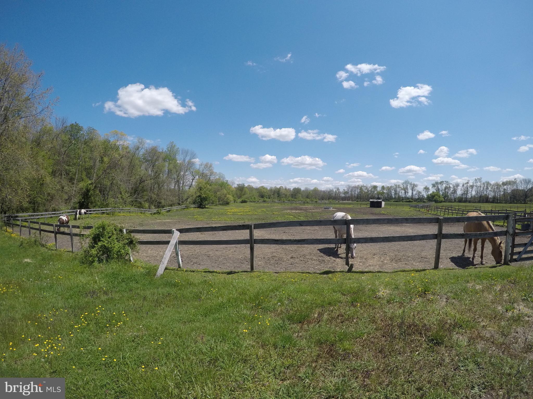 310 Chairville Road Southampton, NJ 08088 - Photo 12 of 23