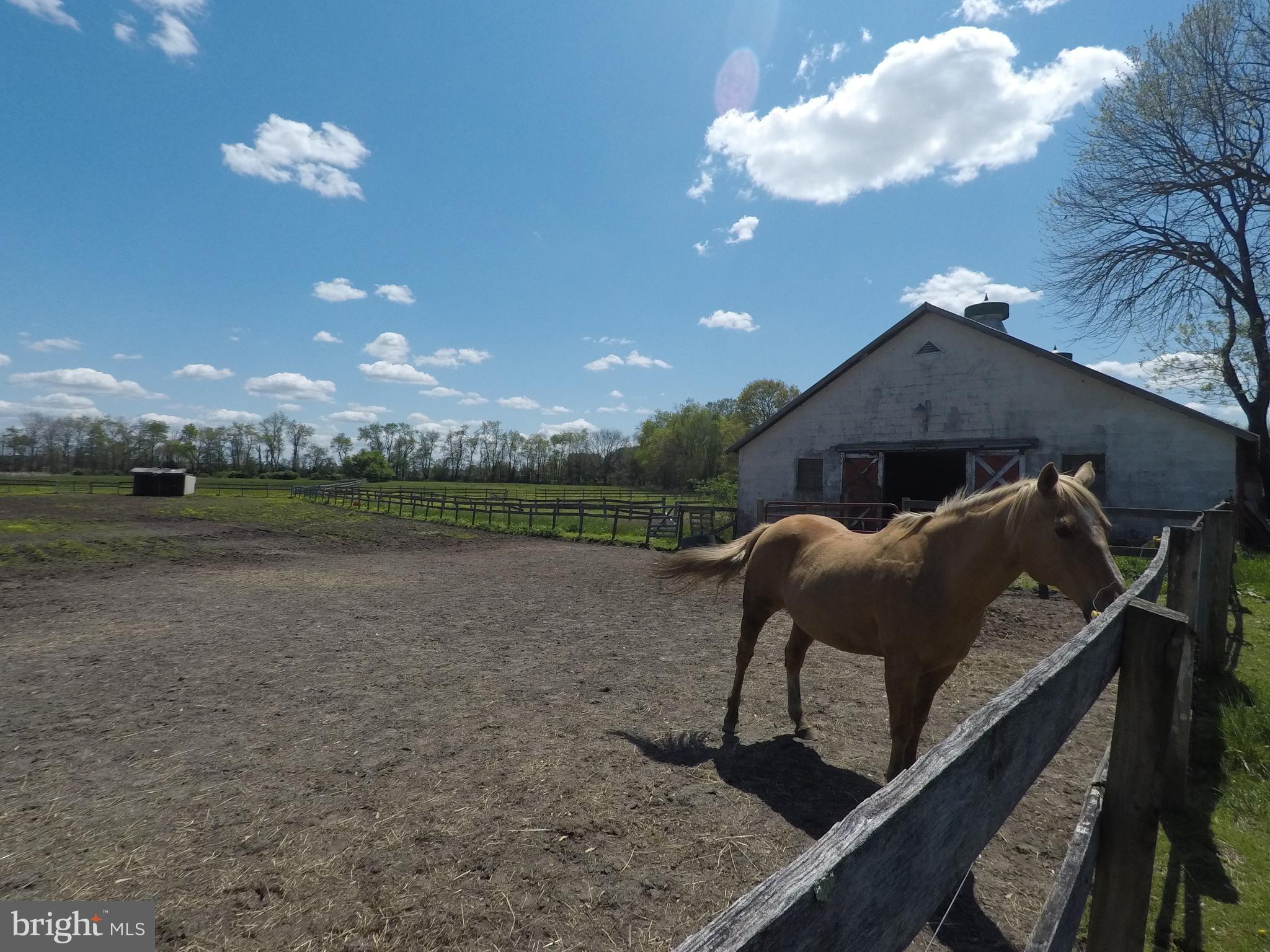 310 Chairville Road Southampton, NJ 08088 - Photo 6 of 23