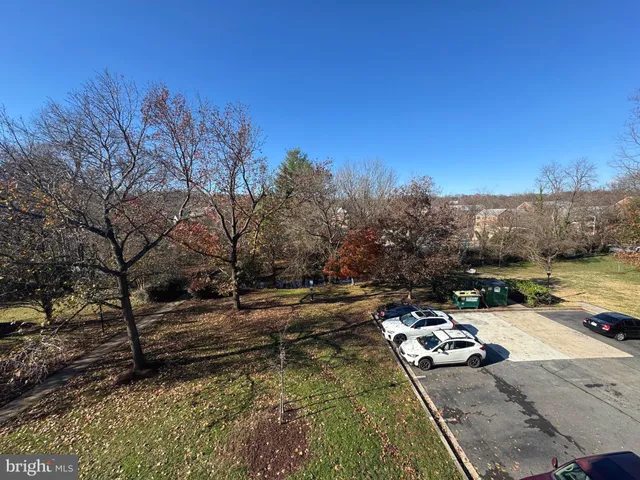 a view of a pathway with a tree