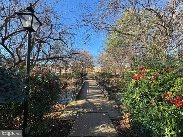 a park view with wooden fence and trees