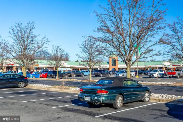 a view of a park with large trees
