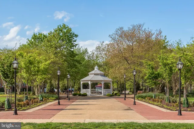 a view of a backyard with trees