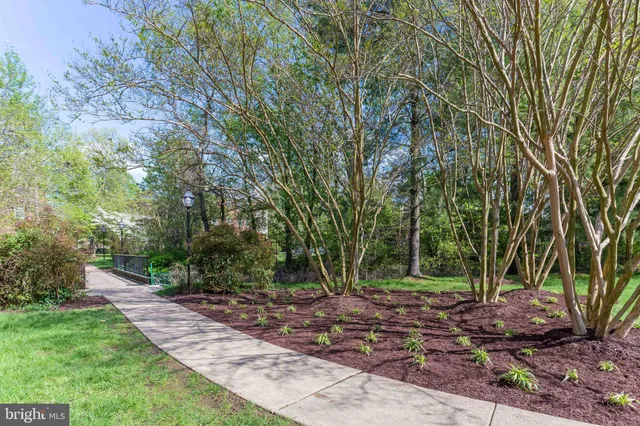 a view of basketball court