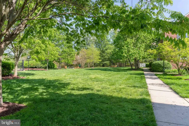 a park with kid zone