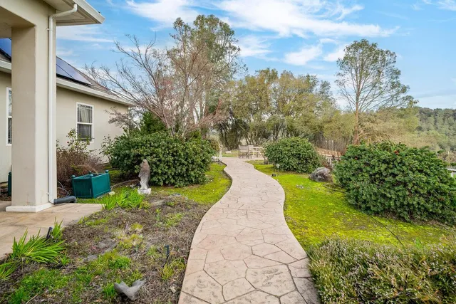 a view of a swimming pool with a garden