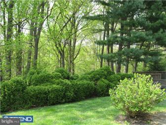 9108 Springview Road Philadelphia, PA 19115 - Photo 12 of 12 Exterior Back