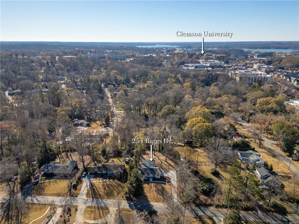 251 Riggs Drive Clemson, SC 29631 - Photo 42 of 49