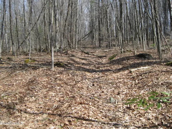 $495,000 | 0 Mohawk Lake Road, Stockbridge, MA 01262