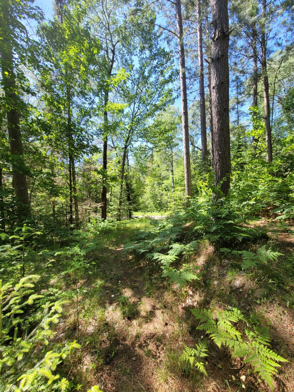 On Blue Bill Road, Unit LOT 2 Presque Isle, WI 54557 - Photo 4 of 9 Gallery Image 4