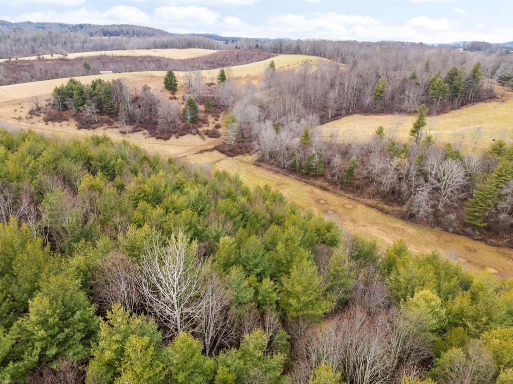 1055 Epperly Mill Road Southwest, Unit 185 & 186 Floyd, VA 24091 - Photo 24 of 31 Gallery Image 24