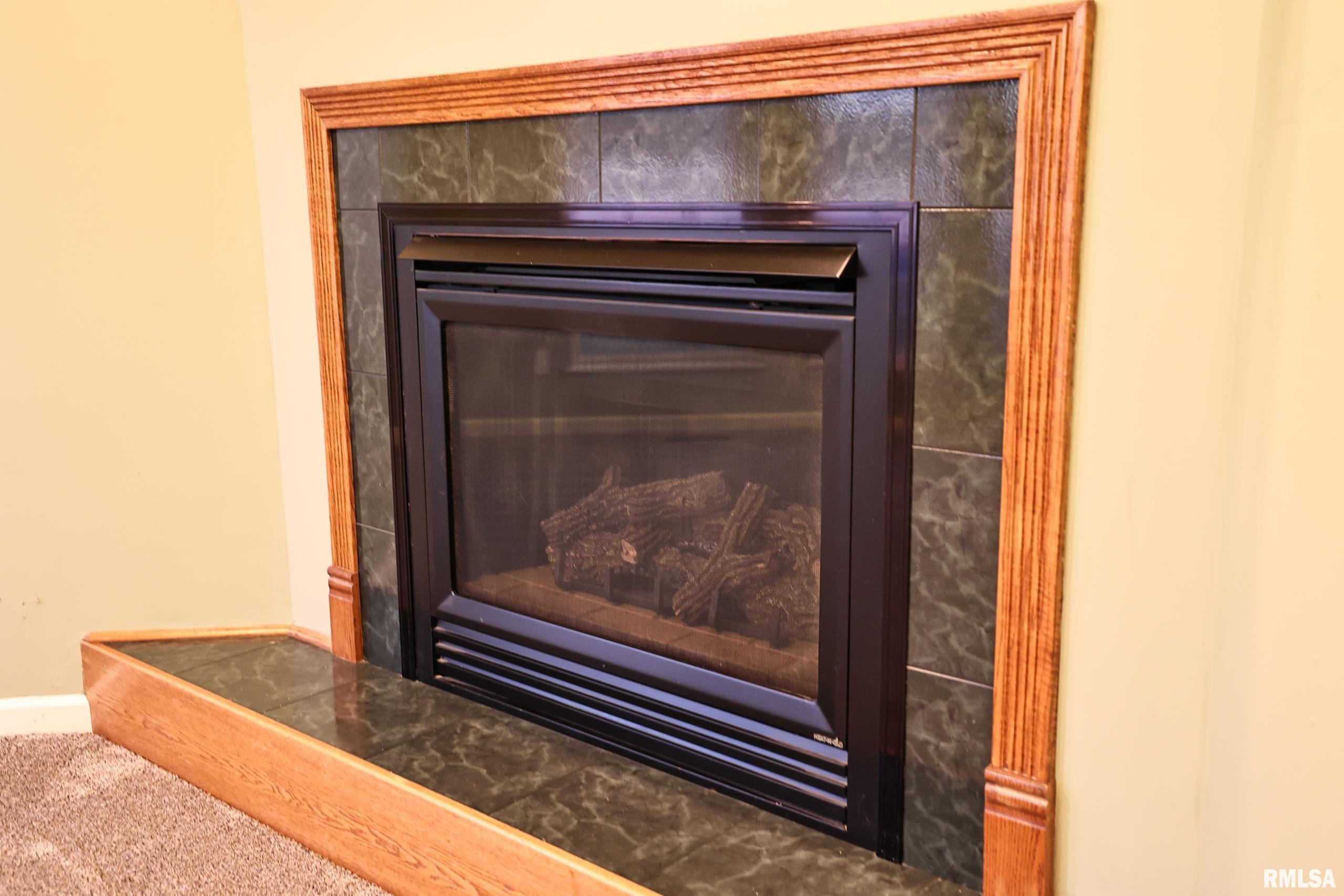 5 Pheasant Lane Pittsfield, IL 62363 - Photo 46 of 74