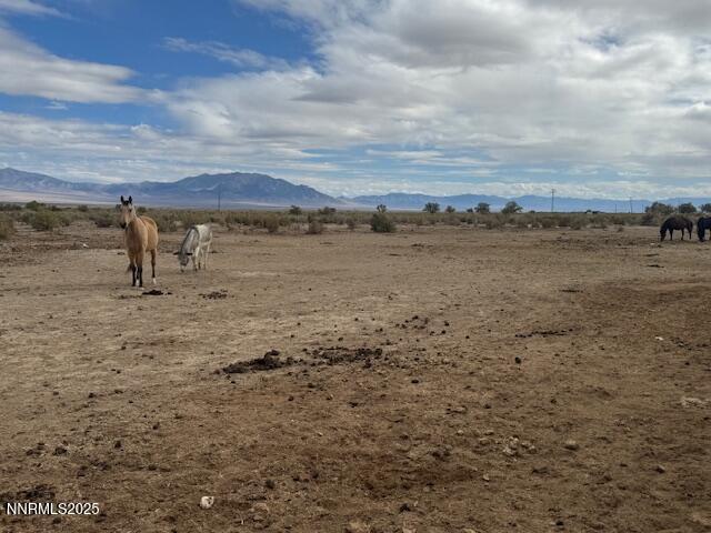 1600 Kyle Hot Springs Road Imlay, NV 89418 - Photo 28 of 45