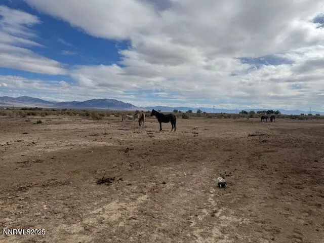 a view of a pathway with a houses
