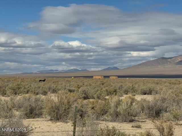 1600 Kyle Hot Springs Road Imlay, NV 89418 - Photo 38 of 45 a view of yard