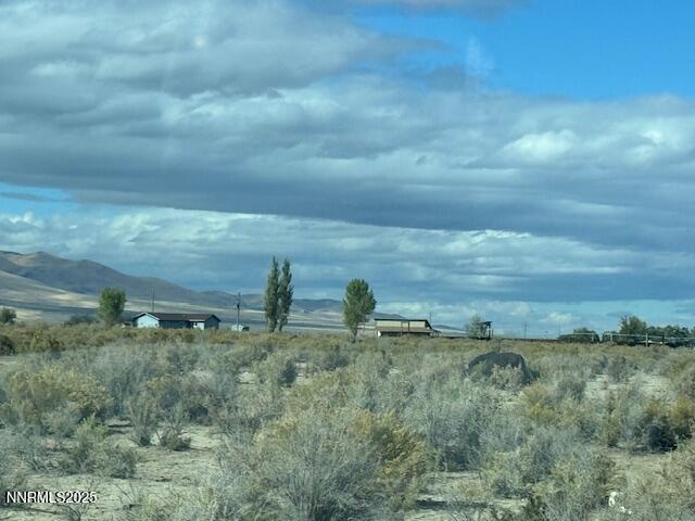 1600 Kyle Hot Springs Road Imlay, NV 89418 - Photo 40 of 45 a view of a field of grass and trees