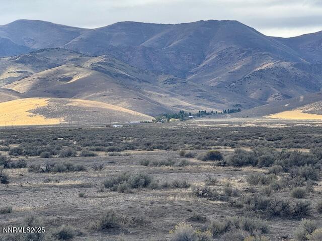1600 Kyle Hot Springs Road Imlay, NV 89418 - Photo 45 of 45 a view of a dry yard with mountain