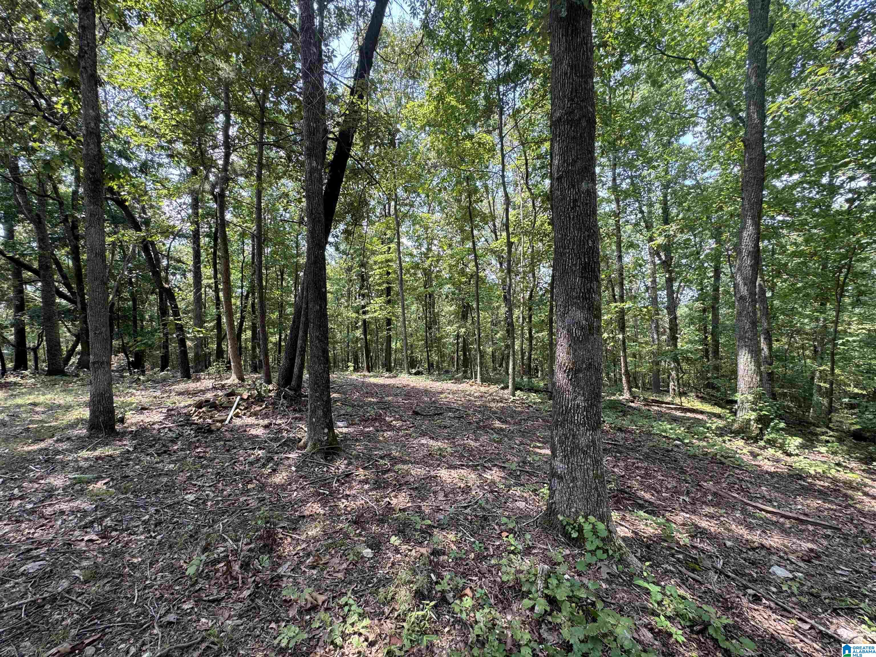 305 Stone Ridge Trail North Anniston, AL 36207 - Photo 62 of 72