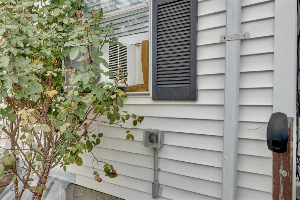19 Delford Street, Unit 1 Boston, MA 02131 - Photo 22 of 25 a view of entryway with a potted plant