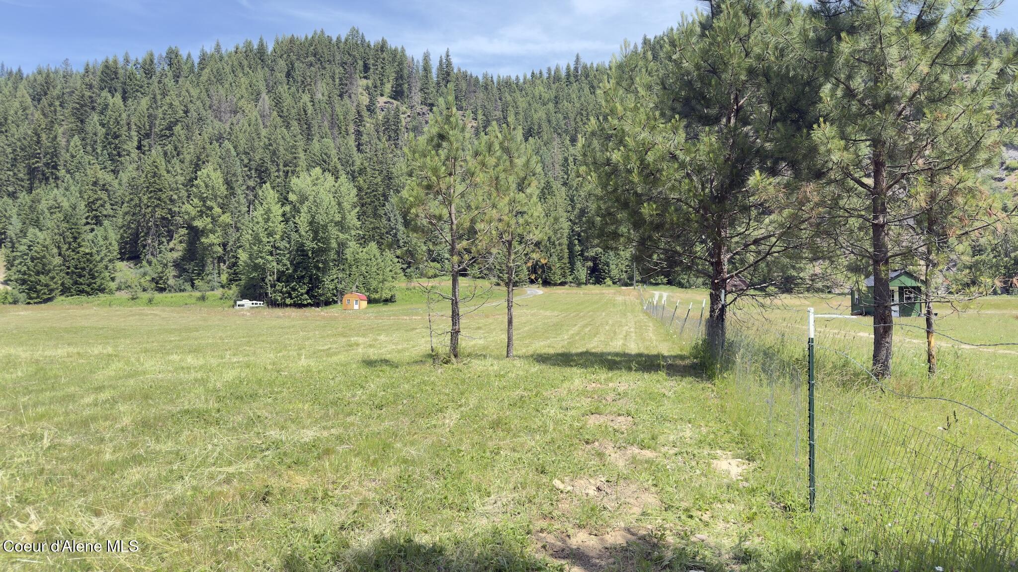 10832 Old River Road Kingston, ID 83839 - Photo 13 of 23 IMG_5681