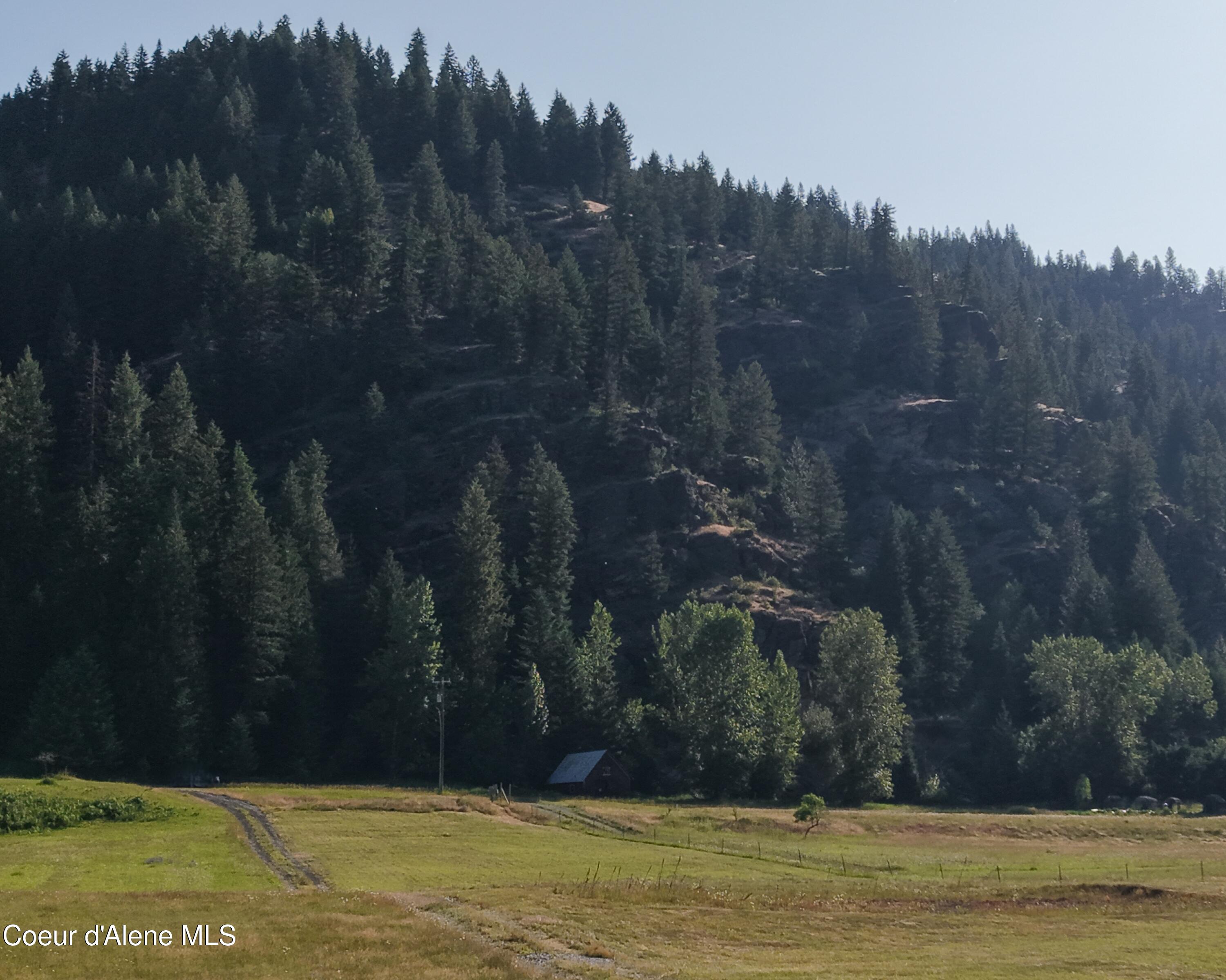 10832 Old River Road Kingston, ID 83839 - Photo 17 of 23 Mountain