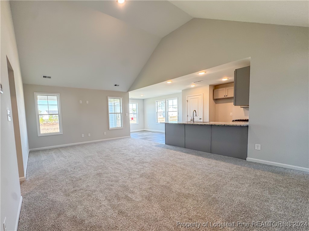4044 Racking Horse (lot 40) Road Hope Mills, NC 28348 - Photo 3 of 21 Gallery Image 3