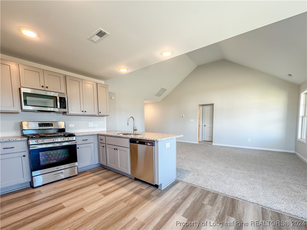 4044 Racking Horse (lot 40) Road Hope Mills, NC 28348 - Photo 8 of 21 Gallery Image 8