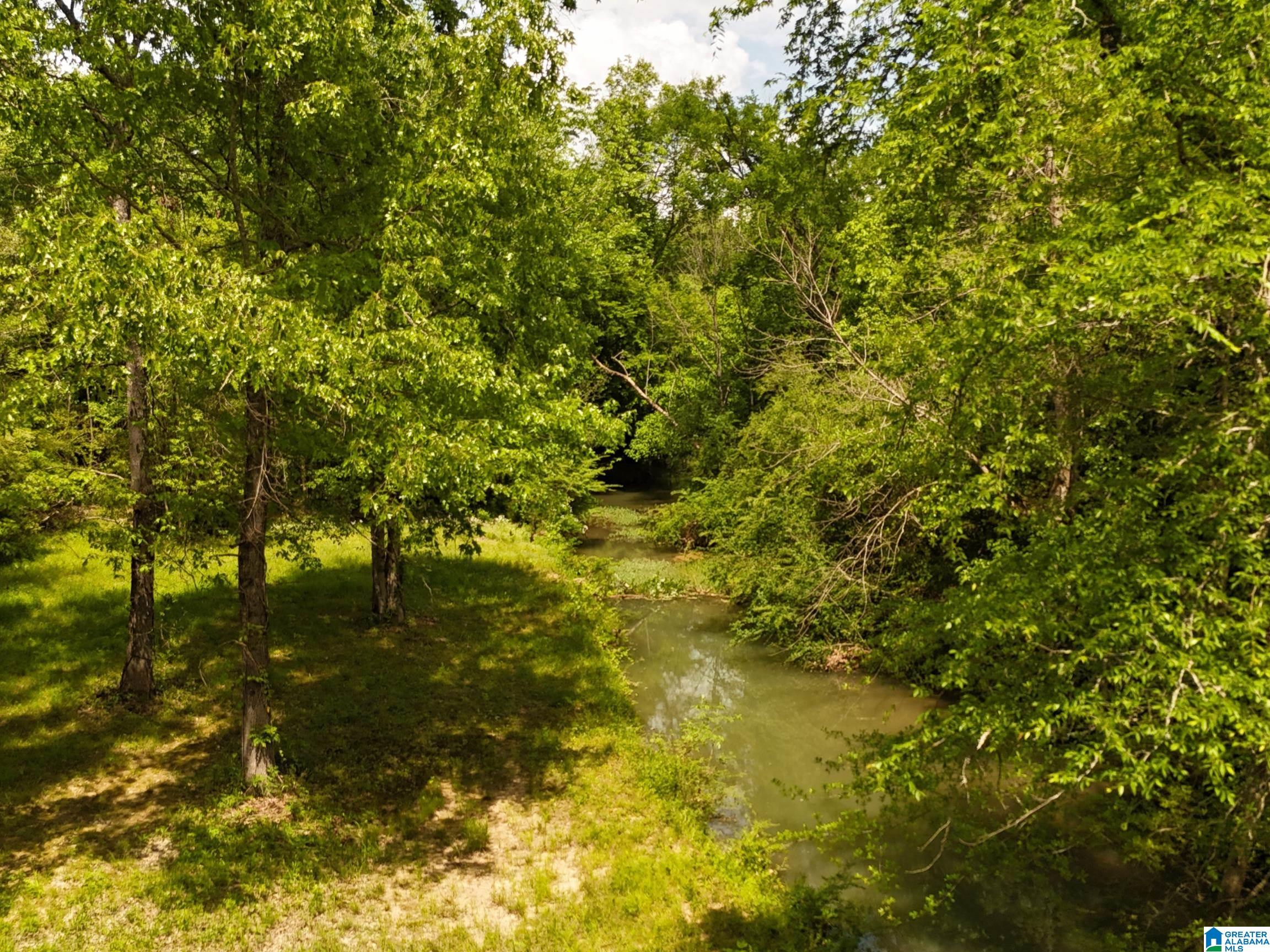 1336 Estes Road Piedmont, AL 36272 - Photo 15 of 50