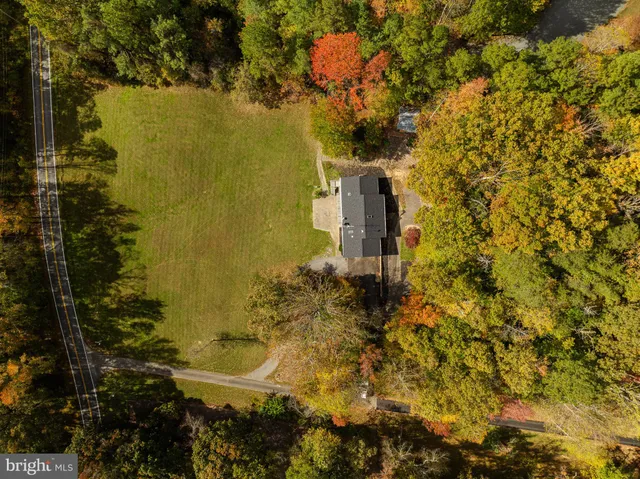 a view of a garden with plants and large trees