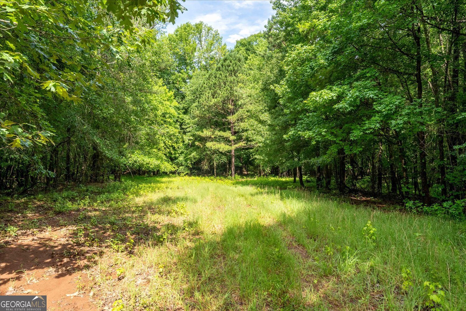 3328 Lundberg Road Washington, GA 30673 - Photo 14 of 19