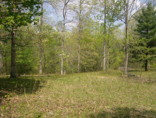 Knepp Road Deer Lodge, TN 37726 - Photo 1 of 1 Primary Photo