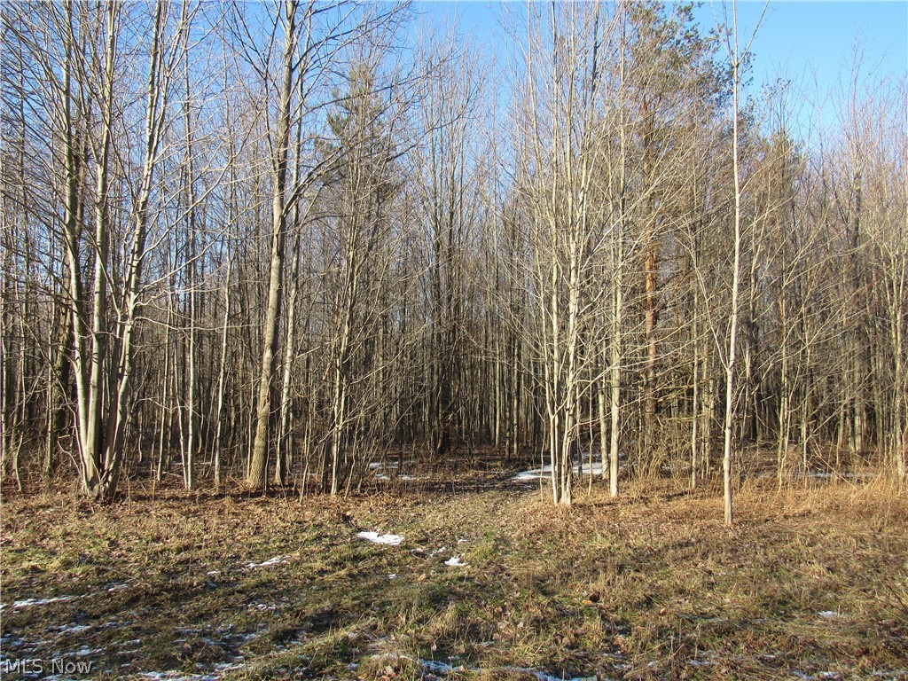 17150 Moseley Road Thompson, OH 44086 - Photo 5 of 7