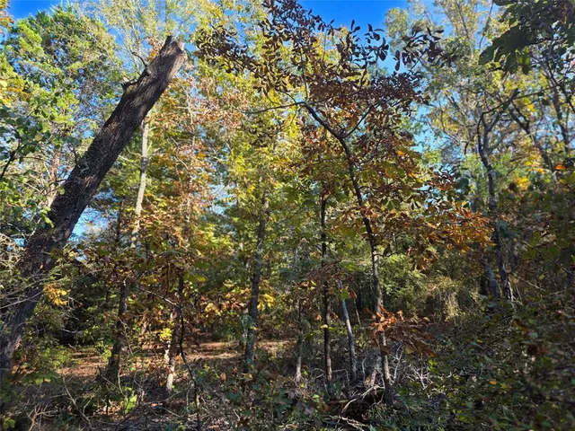 a backyard of a house with lots of trees