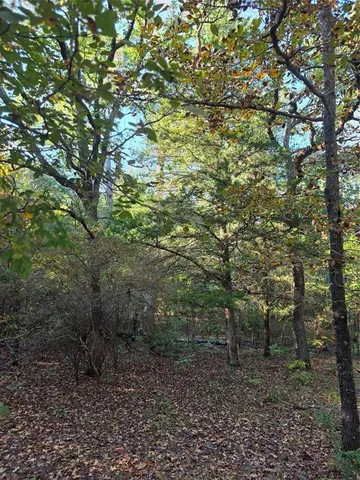a view of outdoor space and trees
