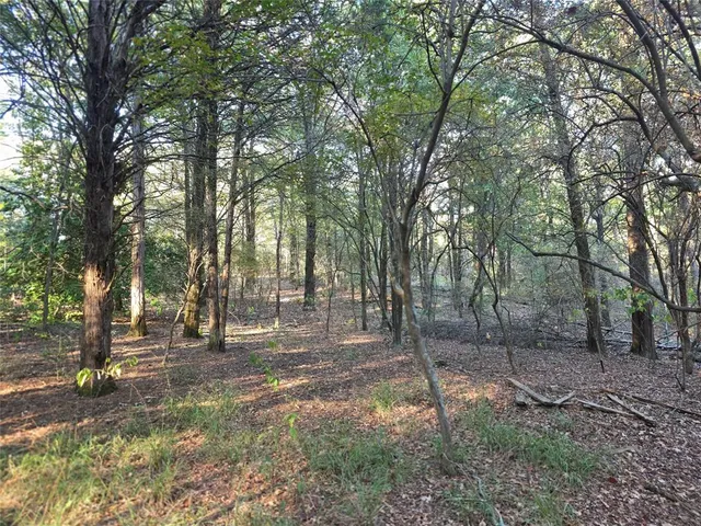 a view of a yard with large trees