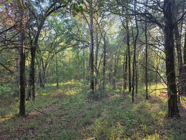 a view of lake with green space