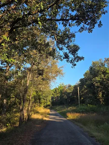 a backyard of a house with a trees