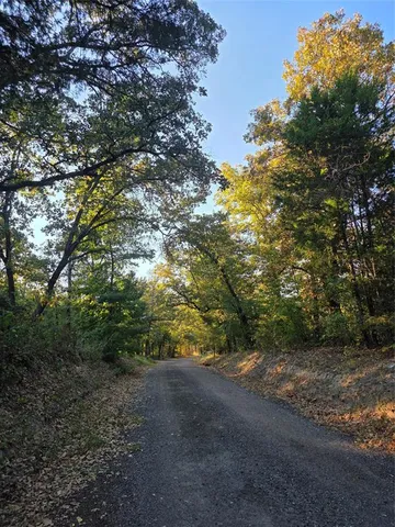 $75,000 | Lot 466 Cr-4710, Larue, TX 75770