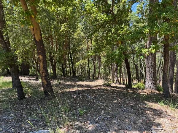 a view of outdoor space with trees