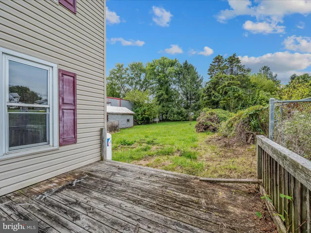 a view of a backyard with plants and large tree