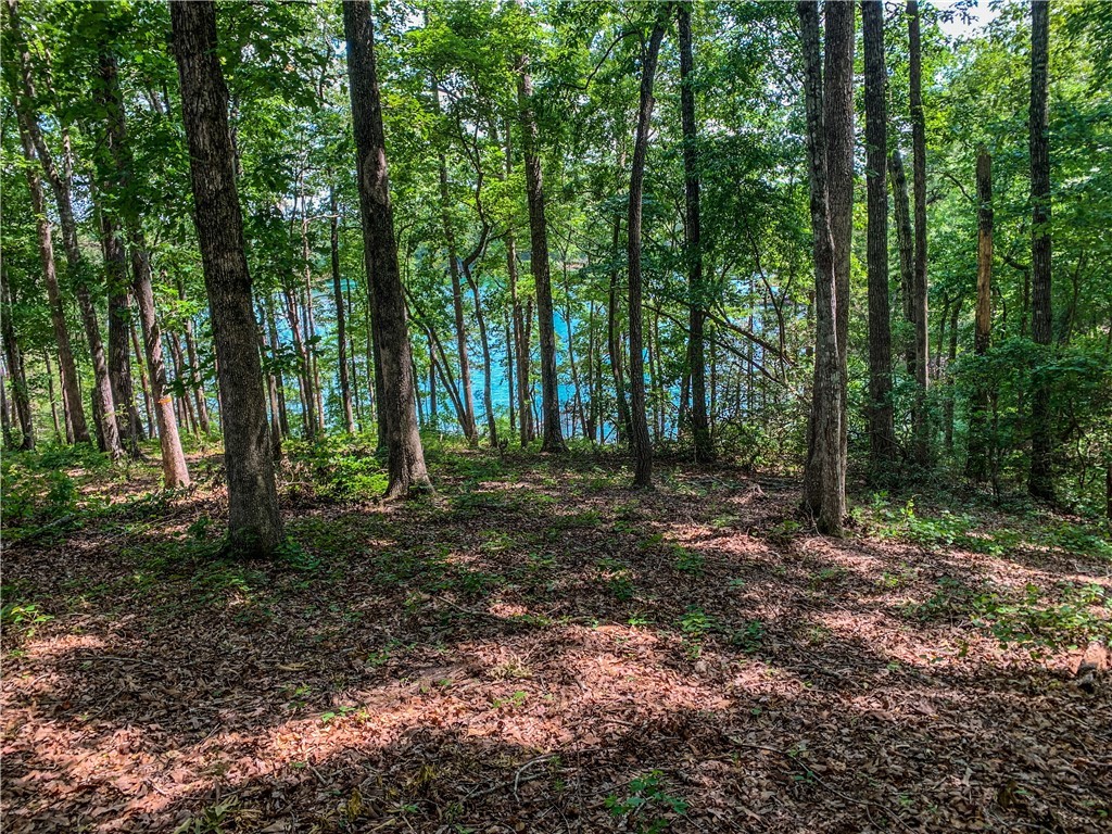 443 Peninsula Ridge Sunset, SC 29685 - Photo 8 of 13 Gallery Image 8