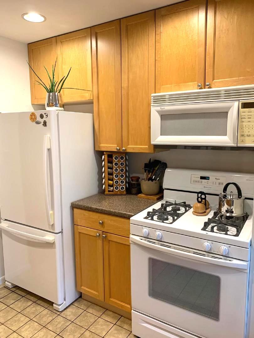 711 Austin Street, Unit 301 Evanston, IL 60202 - Photo 3 of 9