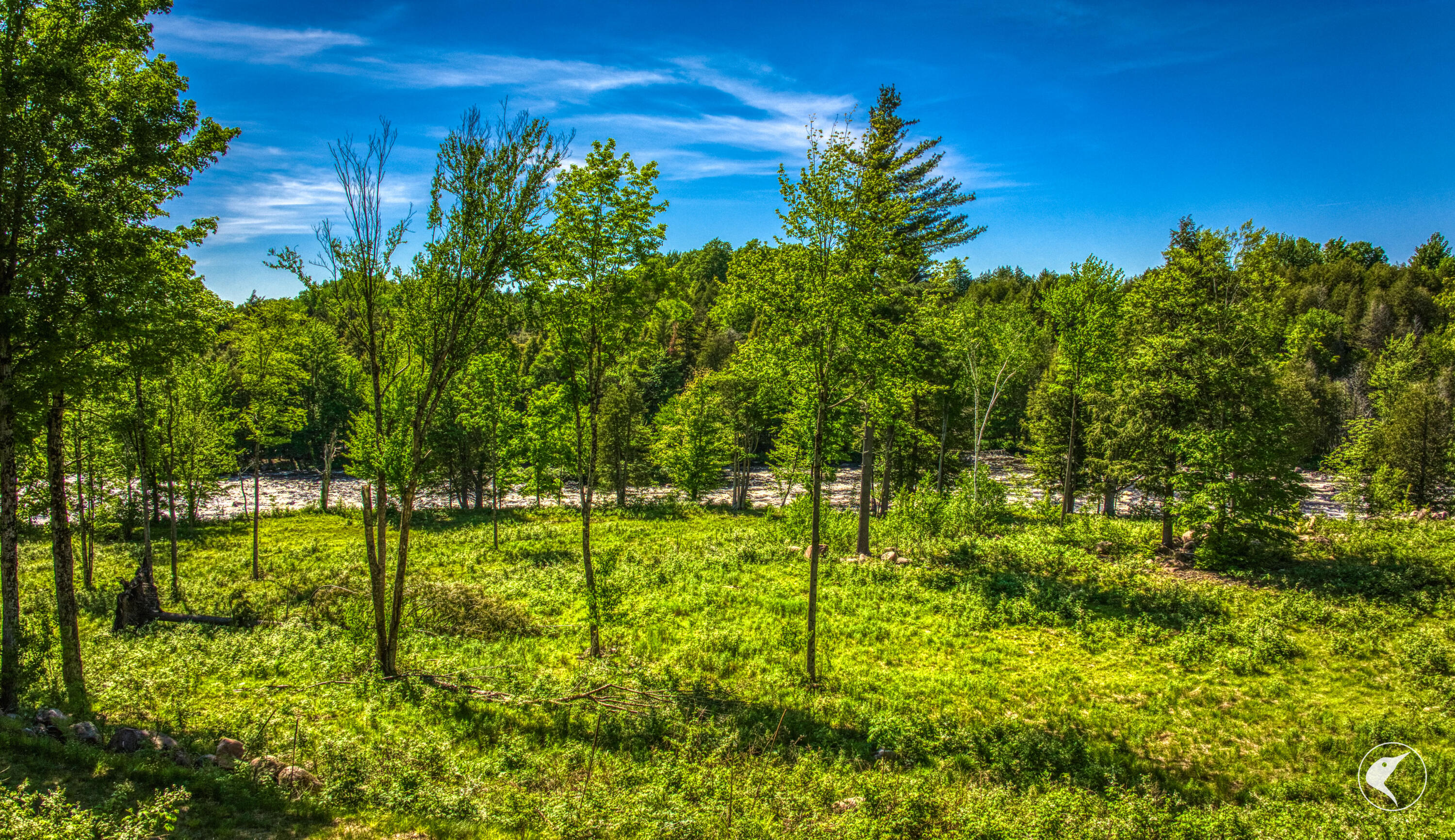 291 Hewitt Road St. Regis Falls, NY 12980 - Photo 106 of 154