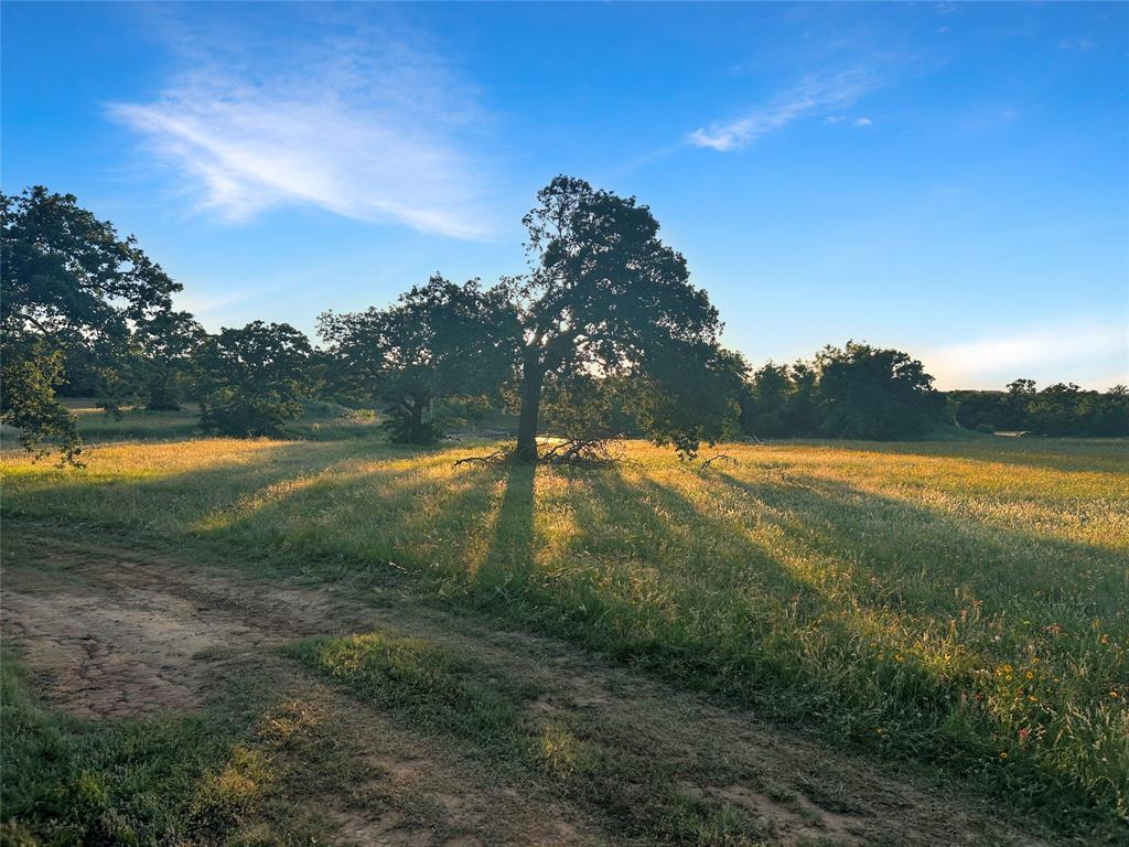 9150 Highway 6 Cisco, TX 76437 - Photo 11 of 26 View of nature featuring rural landscape